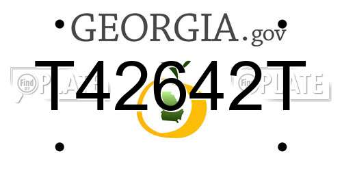 T42642T Georgia License Plate