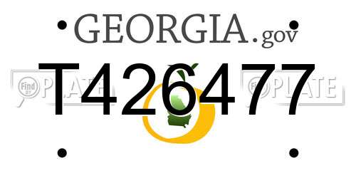 T426477 Georgia License Plate