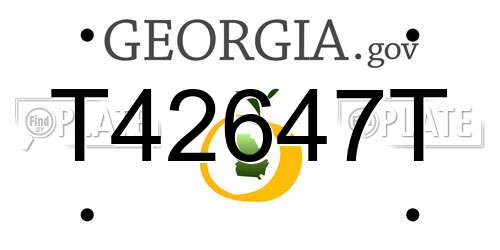 T42647T Georgia License Plate