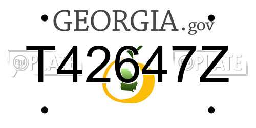 T42647Z Georgia License Plate