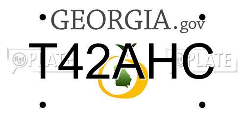 T42AHC Georgia License Plate