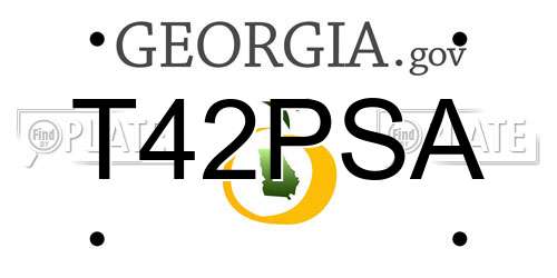 T42PSA Georgia License Plate