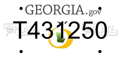 T431250 Georgia License Plate