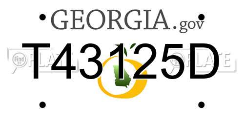 T43125D Georgia License Plate