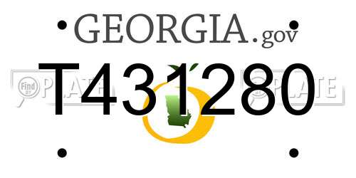 T431280 Georgia License Plate