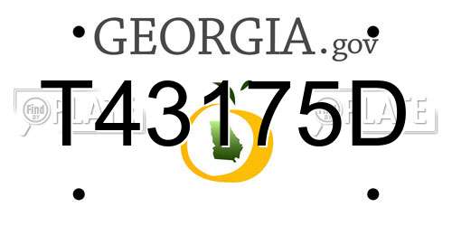 T43175D Georgia License Plate