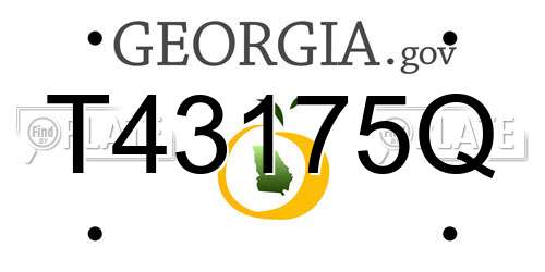 T43175Q Georgia License Plate