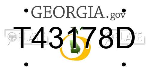 T43178D Georgia License Plate