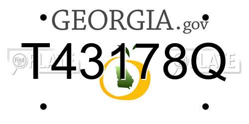 T43178Q Georgia License Plate