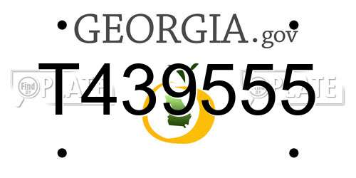 T439555 Georgia License Plate