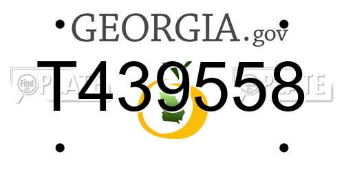 T439558 Georgia License Plate