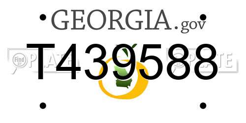 T439588 Georgia License Plate