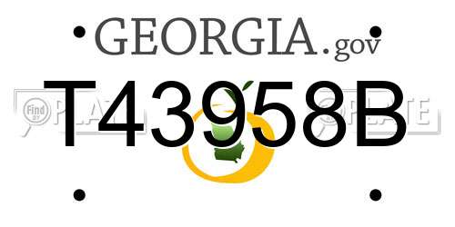 T43958B Georgia License Plate