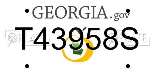 T43958S Georgia License Plate