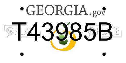 T43985B Georgia License Plate