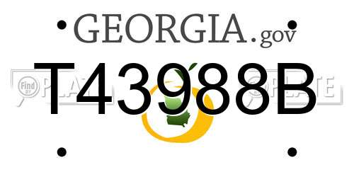 T43988B Georgia License Plate