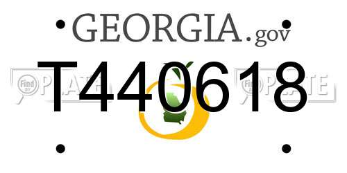 T440618 Georgia License Plate