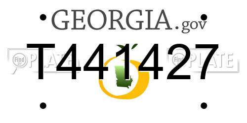 T441427 Georgia License Plate