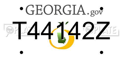 T44142Z Georgia License Plate