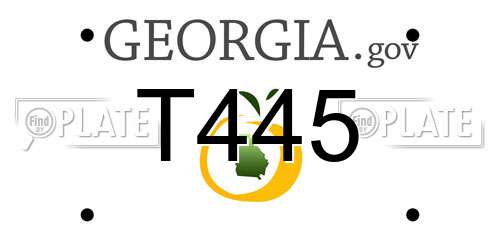T445 Georgia License Plate