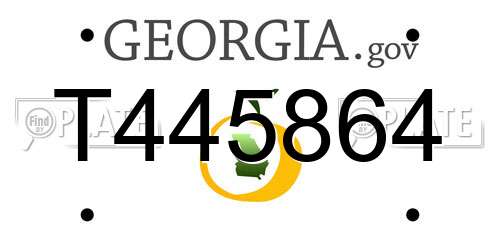 T445864 Georgia License Plate