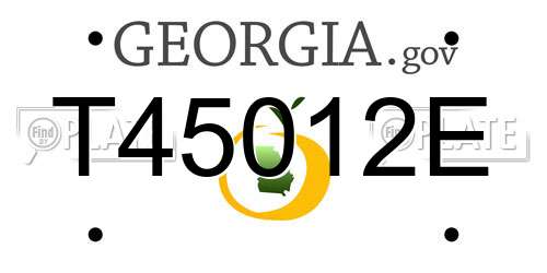 T45012E Georgia License Plate
