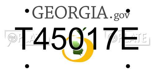 T45017E Georgia License Plate