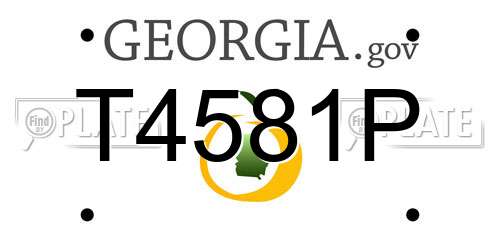 T4581P Georgia License Plate