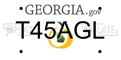T45AGL Georgia License Plate