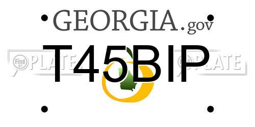 T45BIP Georgia License Plate