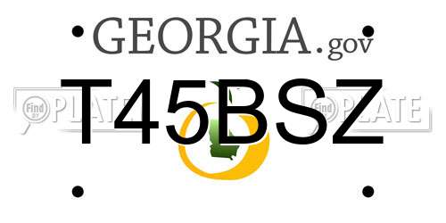 T45BSZ Georgia License Plate