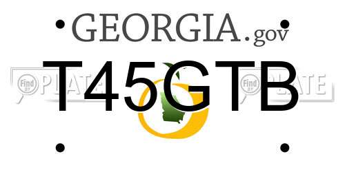 T45GTB Georgia License Plate