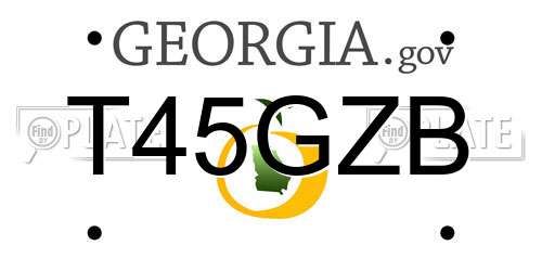 T45GZB Georgia License Plate