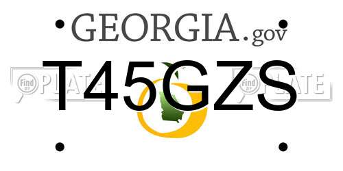 T45GZS Georgia License Plate