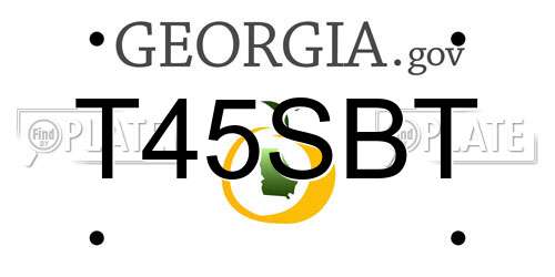 T45SBT Georgia License Plate