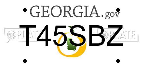 T45SBZ Georgia License Plate