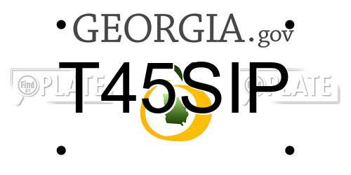 T45SIP Georgia License Plate