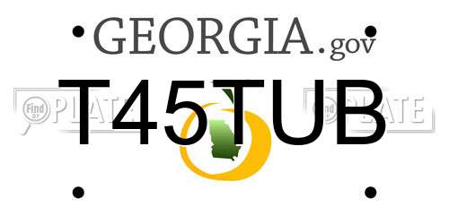 T45TUB Georgia License Plate