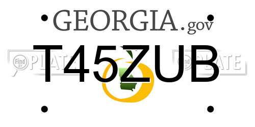 T45ZUB Georgia License Plate