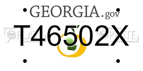 T46502X Georgia License Plate