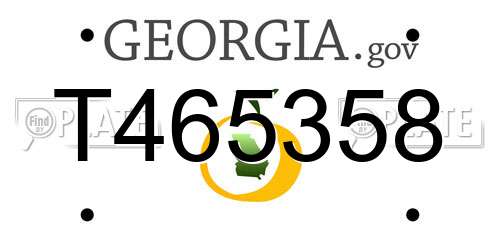 T465358 Georgia License Plate