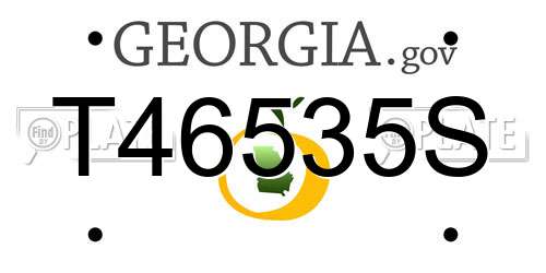 T46535S Georgia License Plate