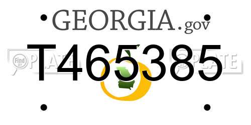 T465385 Georgia License Plate