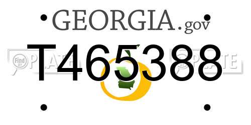 T465388 Georgia License Plate