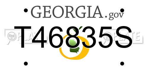T46835S Georgia License Plate