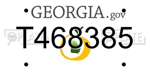 T468385 Georgia License Plate
