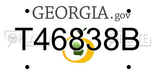 T46838B Georgia License Plate
