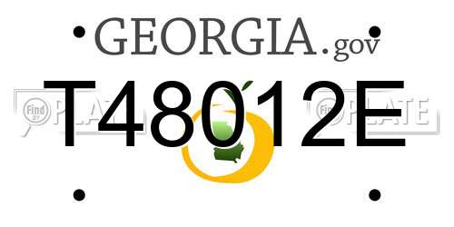 T48012E Georgia License Plate
