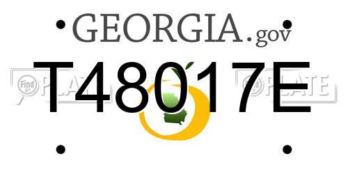 T48017E Georgia License Plate