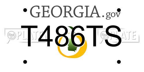 T486TS Georgia License Plate